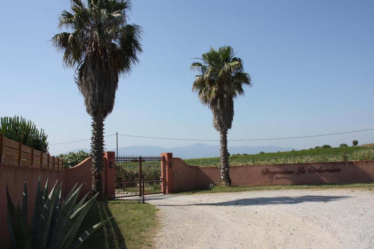 Domaine La Colomine Lägenhet Canet-en-Roussillon Exteriör bild